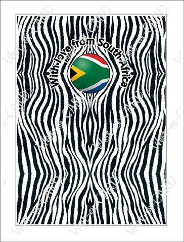 Zebra Stripes