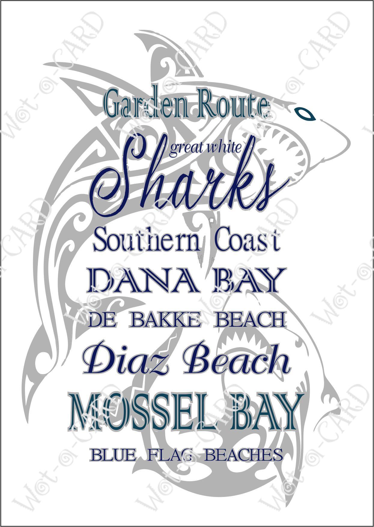 Mossel Bay Sharks Two