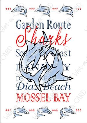 Mossel Bay Sharks Blue