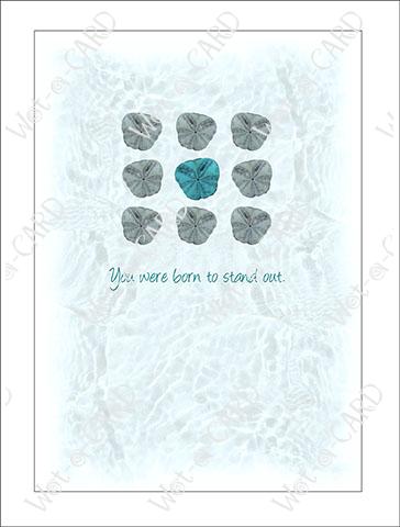 Pansy Standout Aqua