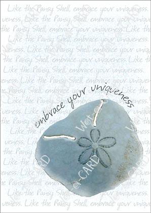 Pansy Shell Embrace Blue