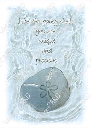 Pansy Shell Water Blue