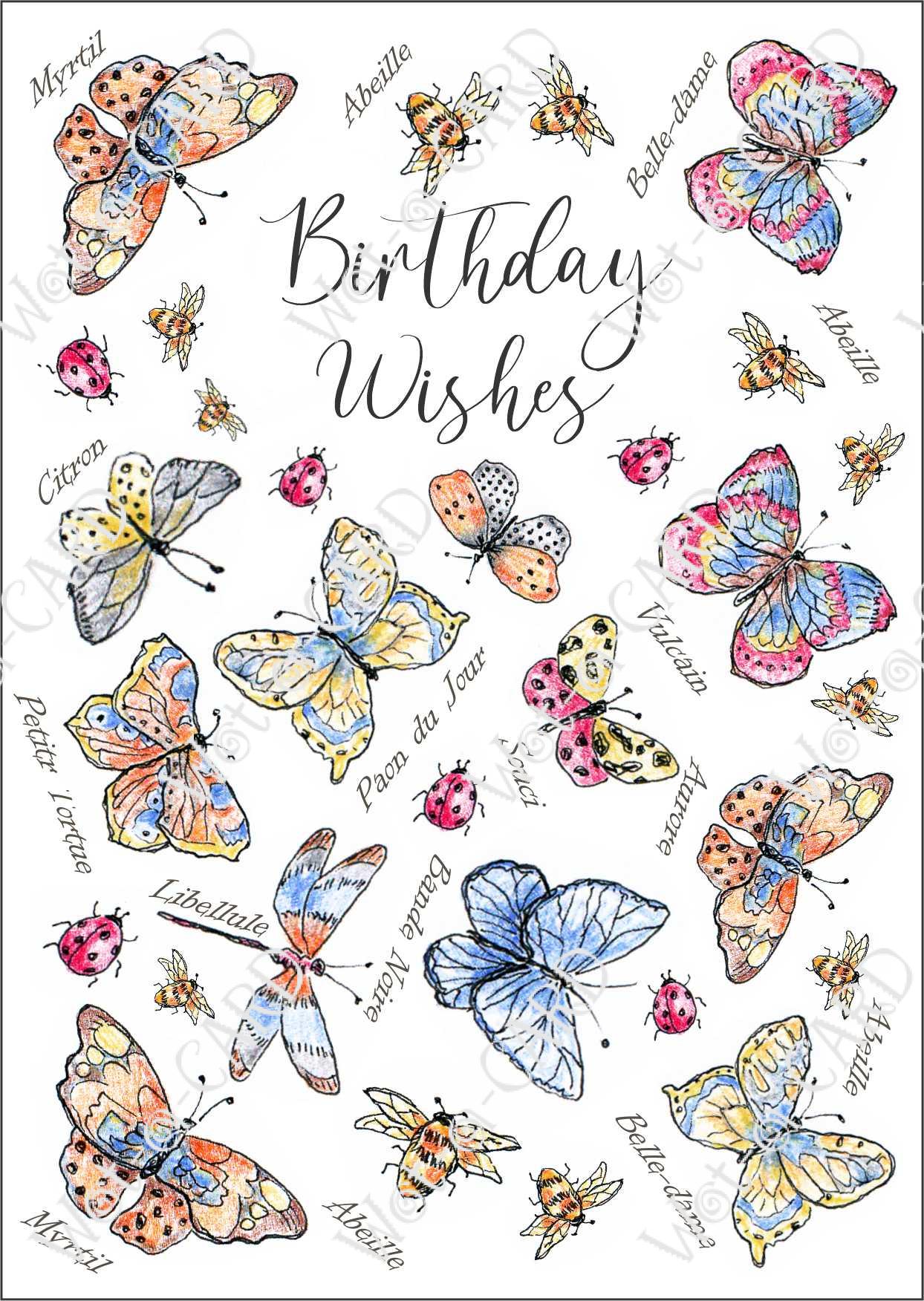 Happy Birthday Butterfly Colourful
